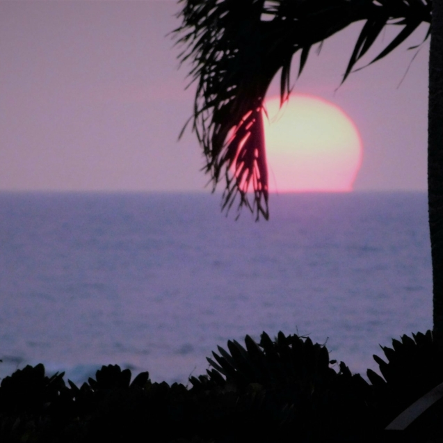Romantic Tropical Sunset! Shades of Purple Color the Sky! Moon Dips into the Horizon! NOMINATED!!